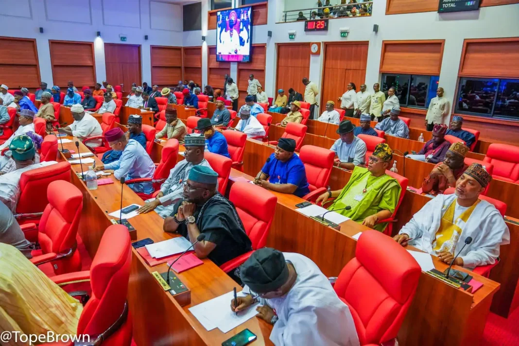 Senate Weekly Roundup: Xenophobic Killings, Budget Controversy, Education Reform, and Other Key Developments
