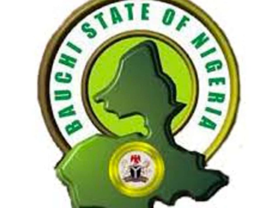 Bauchi Government to Crack Down on Illegal Private Schools