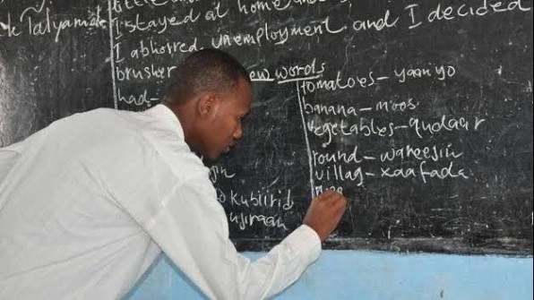 FG Opens Six-Month Teacher Certification Programme for BSc, HND, ND Holders